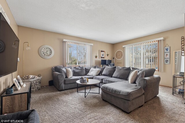 505 Shadyside Cir, Hopkins, MN 55343 - photo 13