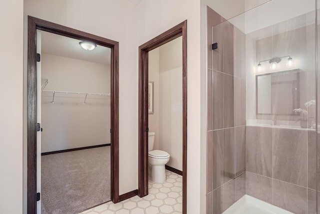 3483 Kady Ave NE, Saint Michael, MN 55376 - bathroom with a stall shower and a walk in closet