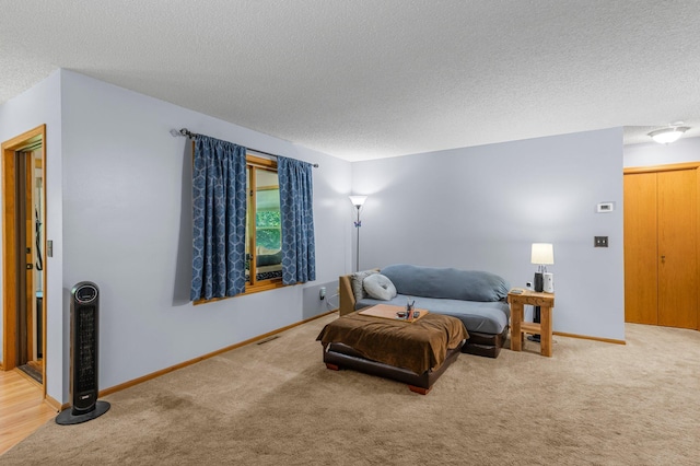 505 Brookview Ln SW, Isanti, MN 55040 - living area with a textured ceiling and carpet flooring