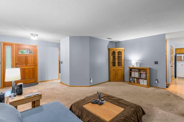 505 Brookview Ln SW, Isanti, MN 55040 - living room with carpet and a textured ceiling