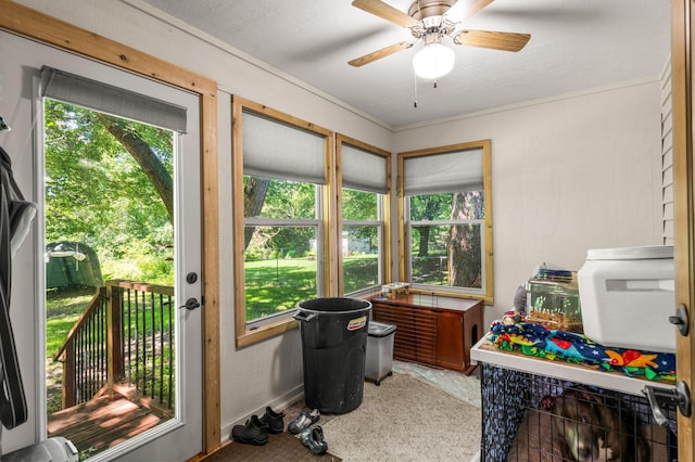 505 Brookview Ln SW, Isanti, MN 55040 - doorway with carpet and ceiling fan
