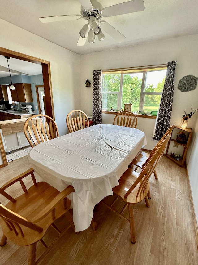 5735 County Road 1, Littlefork, MN 56653 - dining room featuring light wood-style floors and a ceiling fan