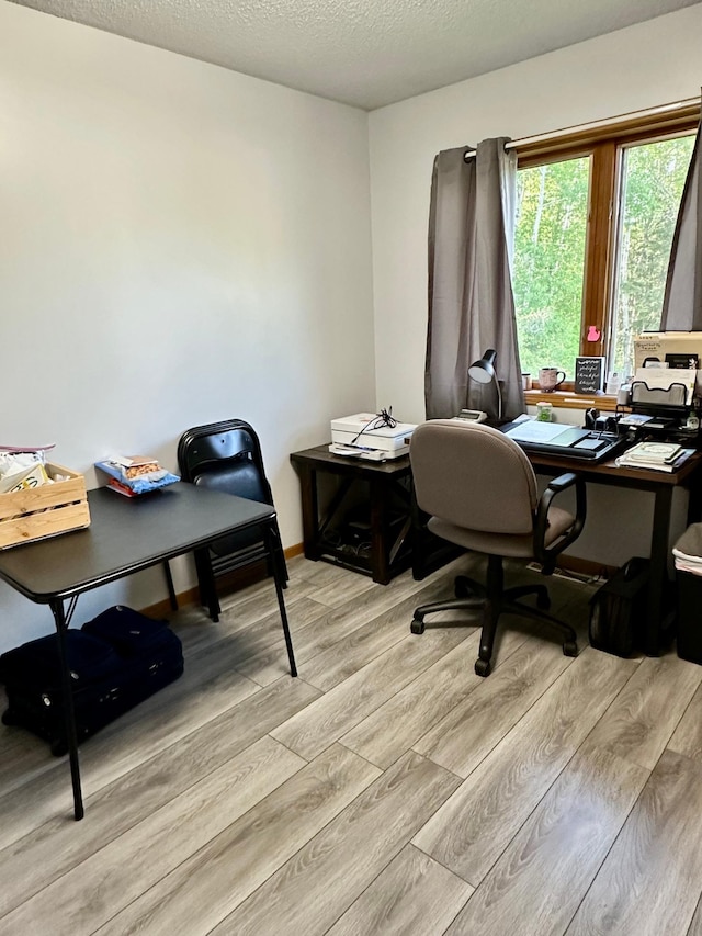 5735 County Road 1, Littlefork, MN 56653 - office with light wood-style floors and a textured ceiling