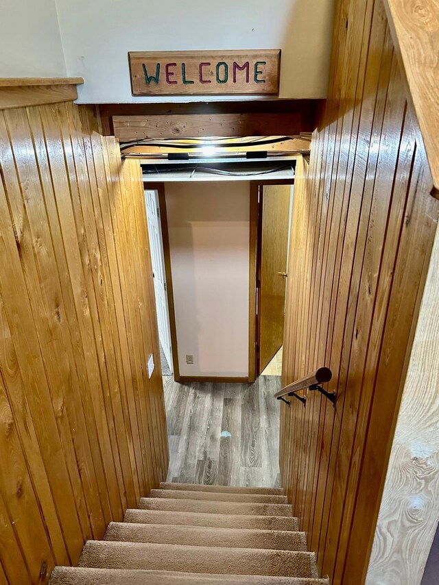 5735 County Road 1, Littlefork, MN 56653 - stairway with wooden walls and wood finished floors