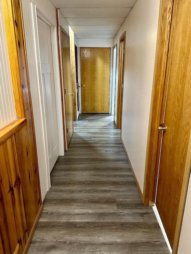 5735 County Road 1, Littlefork, MN 56653 - hallway with wood finished floors and baseboards