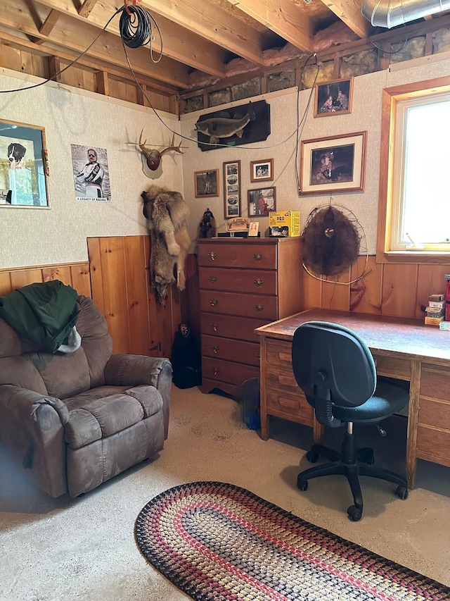 5735 County Road 1, Littlefork, MN 56653 - office with wood walls