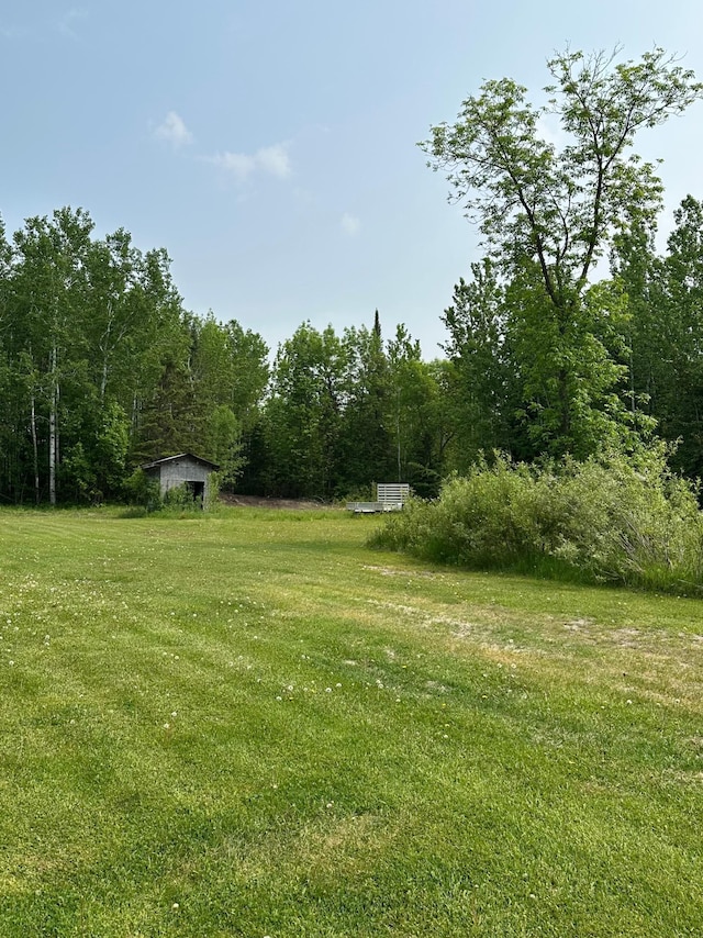 5735 County Road 1, Littlefork, MN 56653 - view of grassy yard with a wooded view and a storage unit
