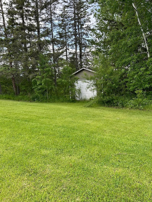 5735 County Road 1, Littlefork, MN 56653 - view of green lawn featuring an outbuilding