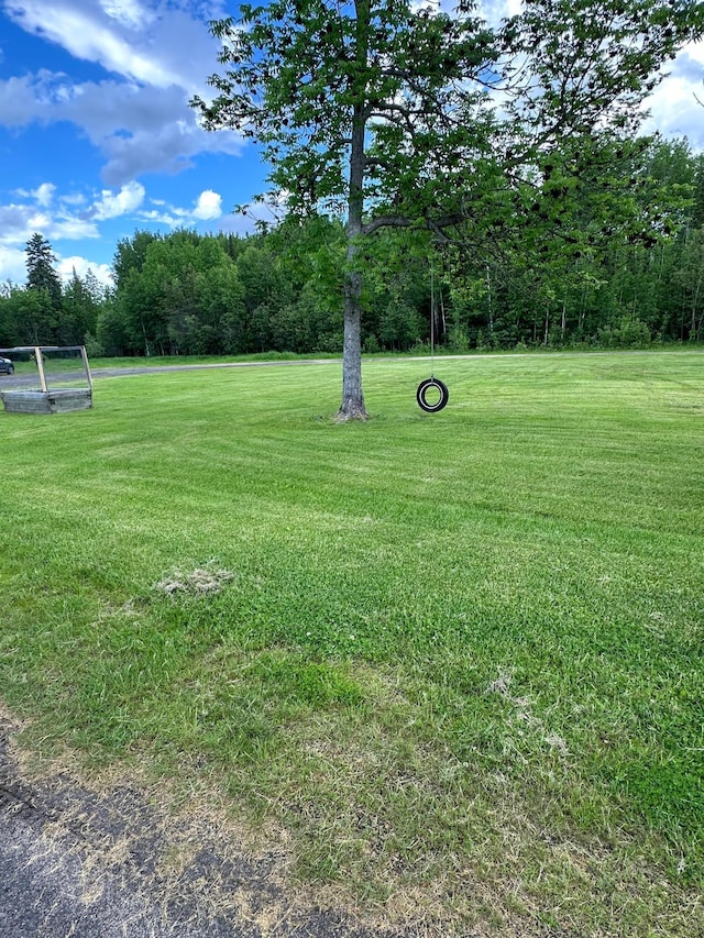 5735 County Road 1, Littlefork, MN 56653 - view of grassy yard
