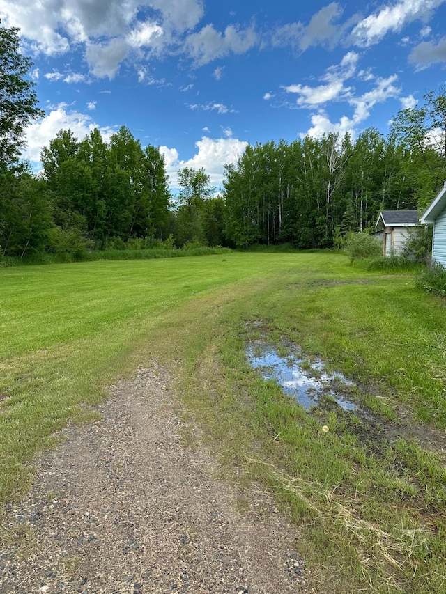 5735 County Road 1, Littlefork, MN 56653 - view of dirt / gravel road