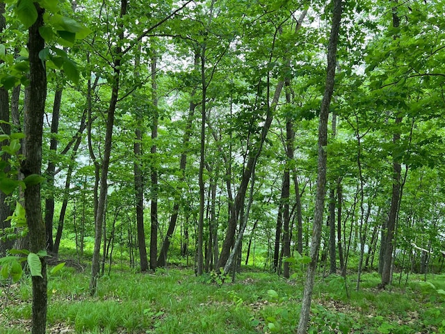 5585 Woods Bay Dr NE, Crooked Lake Twp, MN 56662 - photo 2