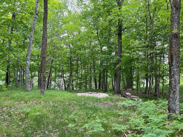 5585 Woods Bay Dr NE, Crooked Lake Twp, MN 56662 - photo 4