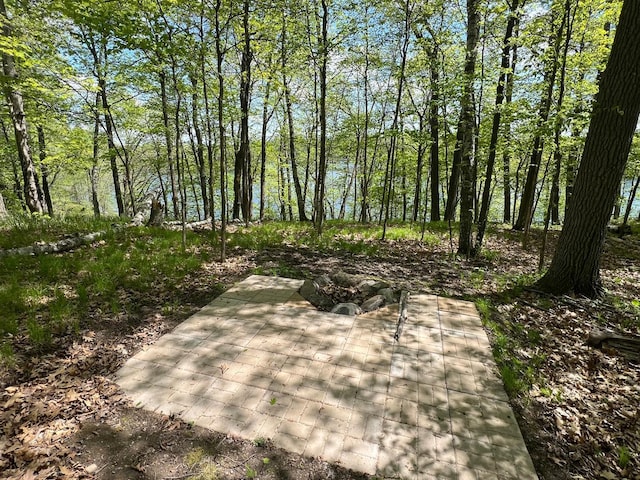 5585 Woods Bay Dr NE, Crooked Lake Twp, MN 56662 - photo 8
