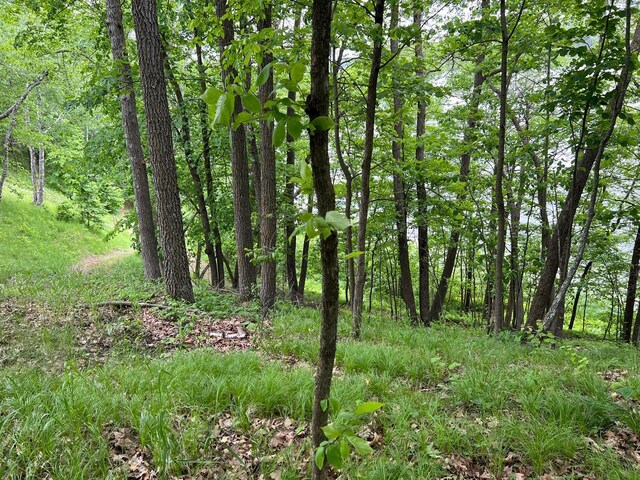 5585 Woods Bay Dr NE, Crooked Lake Twp, MN 56662 - photo 22