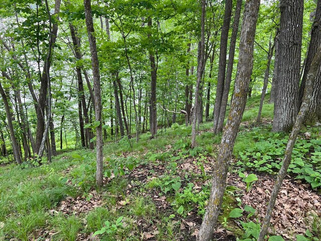 5585 Woods Bay Dr NE, Crooked Lake Twp, MN 56662 - photo 23