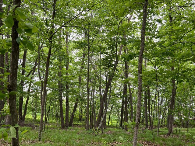 5585 Woods Bay Dr NE, Crooked Lake Twp, MN 56662 - photo 24