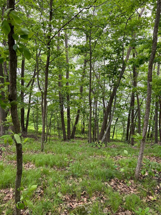 5585 Woods Bay Dr NE, Crooked Lake Twp, MN 56662 - photo 25