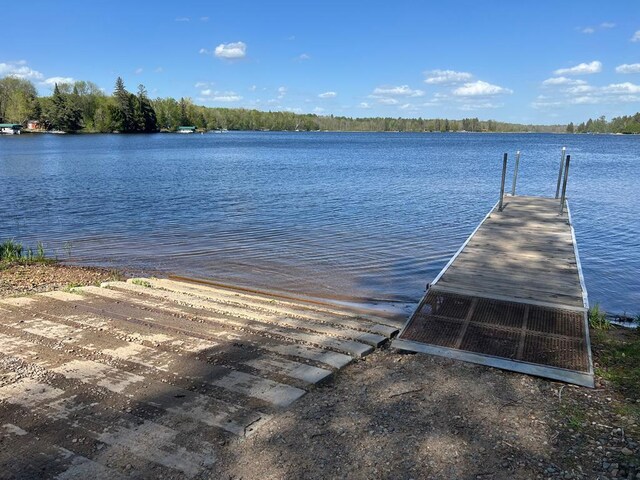 5585 Woods Bay Dr NE, Crooked Lake Twp, MN 56662 - photo 26