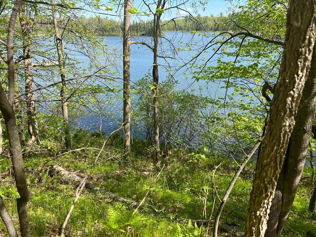 5585 Woods Bay Dr NE, Crooked Lake Twp, MN 56662 - photo 34