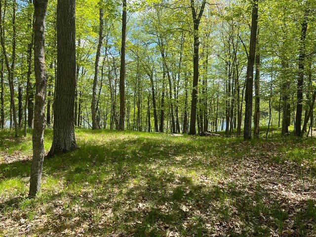 5585 Woods Bay Dr NE, Crooked Lake Twp, MN 56662 - photo 36