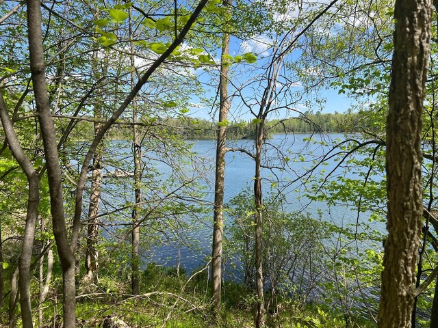 5585 Woods Bay Dr NE, Crooked Lake Twp, MN 56662 - photo 40