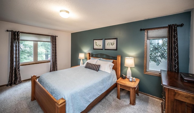 452 Spruce St, Shakopee, MN 55379 - bedroom with carpet flooring and multiple windows