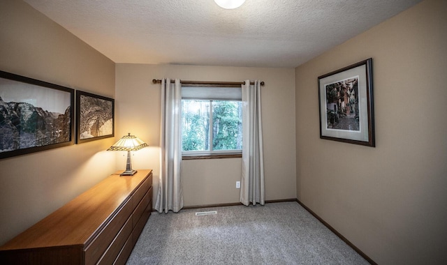 452 Spruce St, Shakopee, MN 55379 - spare room featuring light carpet and a textured ceiling
