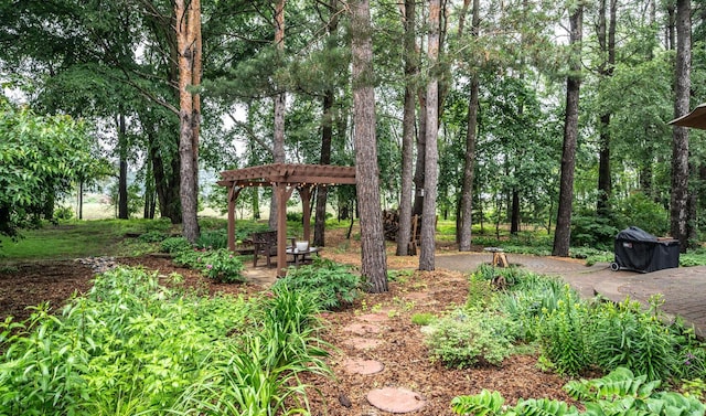 452 Spruce St, Shakopee, MN 55379 - view of yard with a pergola
