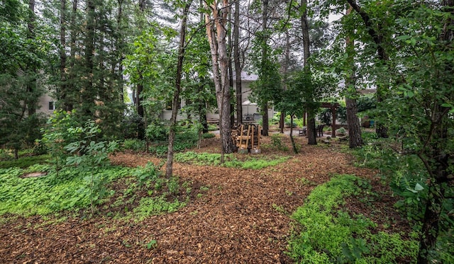 452 Spruce St, Shakopee, MN 55379 - view of undeveloped land