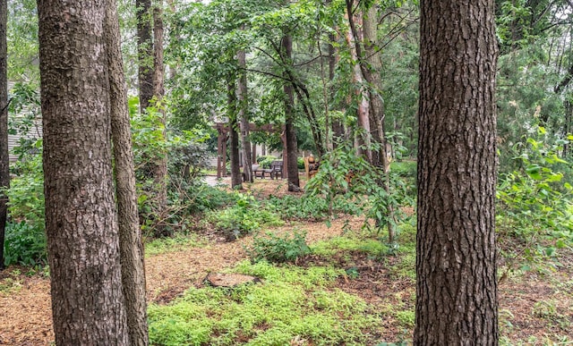 452 Spruce St, Shakopee, MN 55379 - view of woods