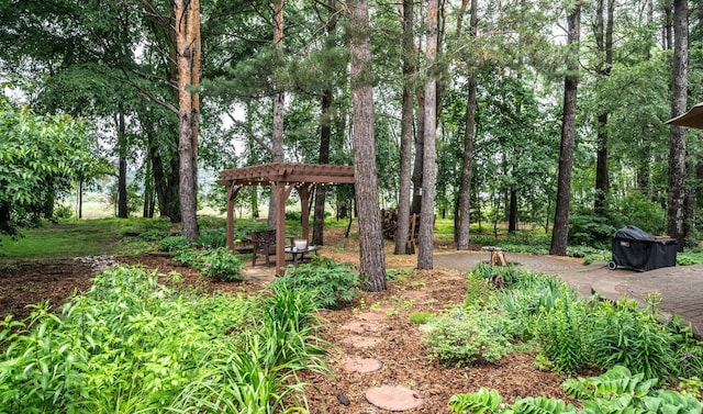 452 Spruce St, Shakopee, MN 55379 - view of yard featuring a pergola