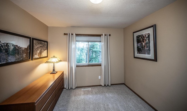 452 Spruce St, Shakopee, MN 55379 - unfurnished room with light colored carpet and a textured ceiling