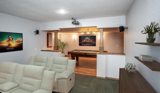 452 Spruce St, Shakopee, MN 55379 - cinema with carpet flooring, billiards table, a textured ceiling, and recessed lighting