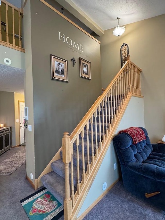 110 Glenshire Blvd S, Watkins, MN 55389 - stairway featuring carpet, vaulted ceiling, and a textured ceiling