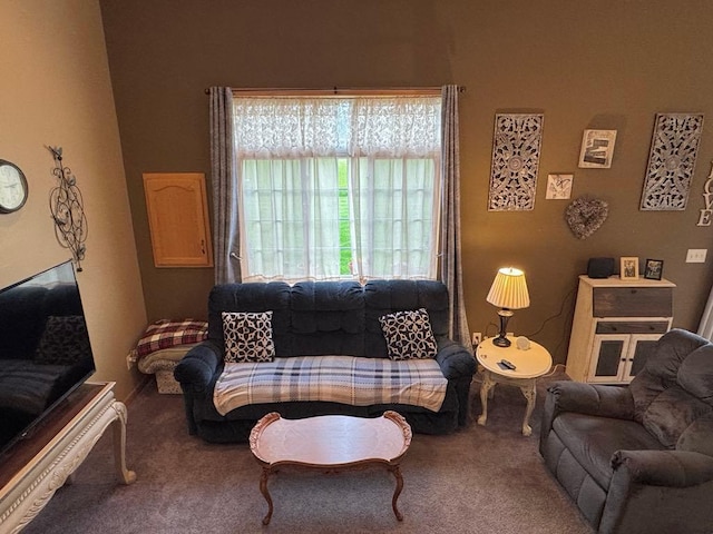 110 Glenshire Blvd S, Watkins, MN 55389 - view of carpeted living room