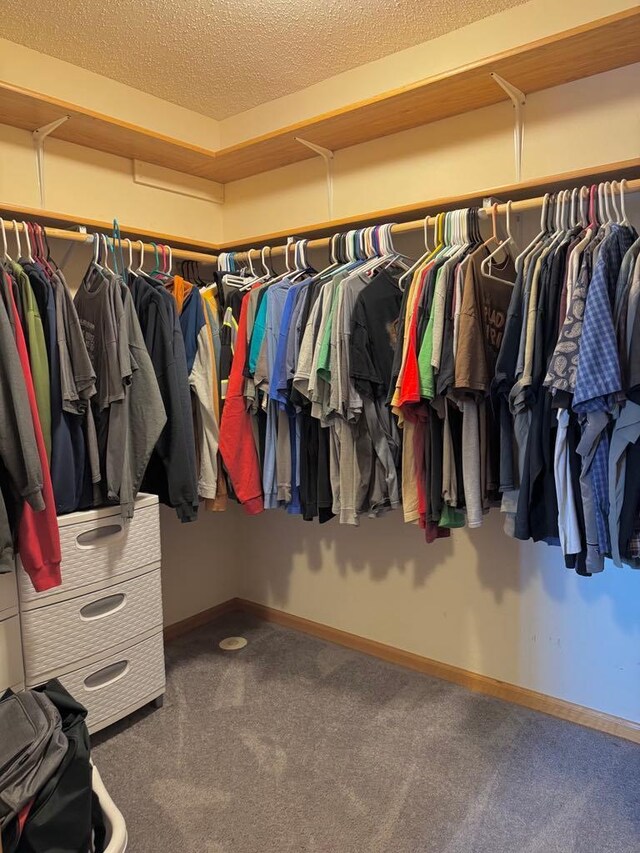 110 Glenshire Blvd S, Watkins, MN 55389 - spacious closet with carpet floors