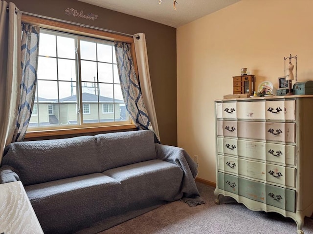 110 Glenshire Blvd S, Watkins, MN 55389 - sitting room with plenty of natural light and carpet floors
