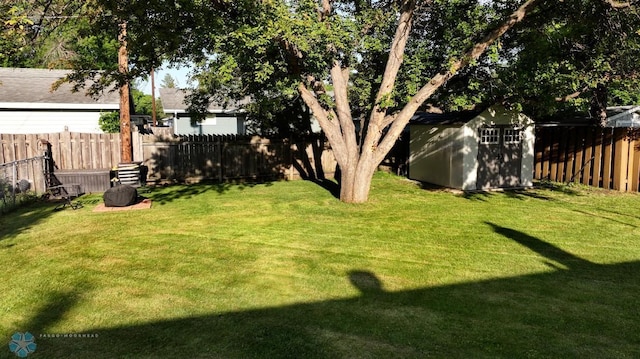 1124 15th St N, Moorhead, MN 56560 - fenced backyard with a storage shed