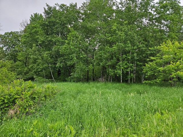 20ACRES 22 1/4 St, Sioux Creek Twp, WI 54728