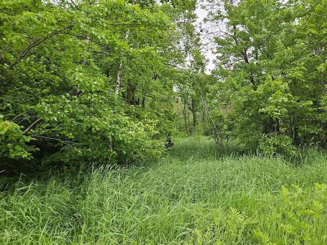 20ACRES 22 1/4 St, Sioux Creek Twp, WI 54728