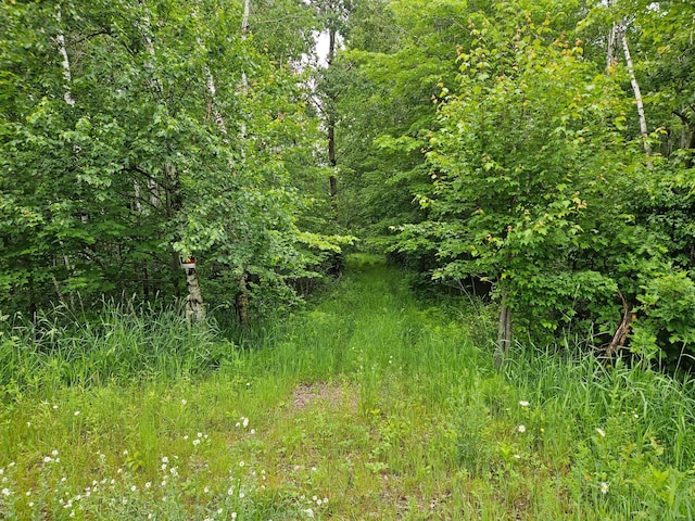 20ACRES 22 1/4 St, Sioux Creek Twp, WI 54728