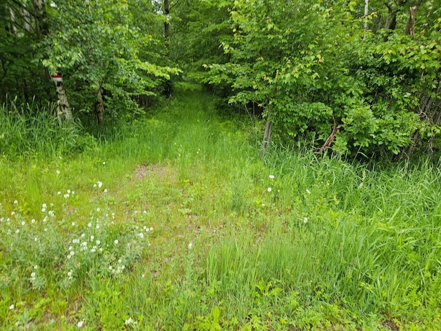 20ACRES 22 1/4 St, Sioux Creek Twp, WI 54728