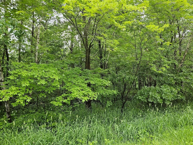 20ACRES 22 1/4 St, Sioux Creek Twp, WI 54728