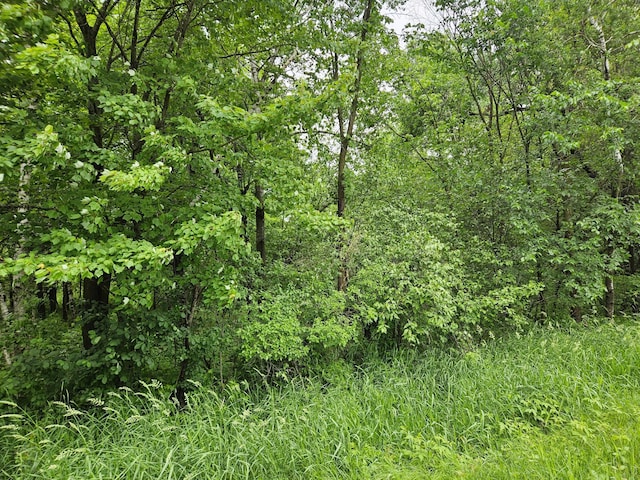 20ACRES 22 1/4 St, Sioux Creek Twp, WI 54728