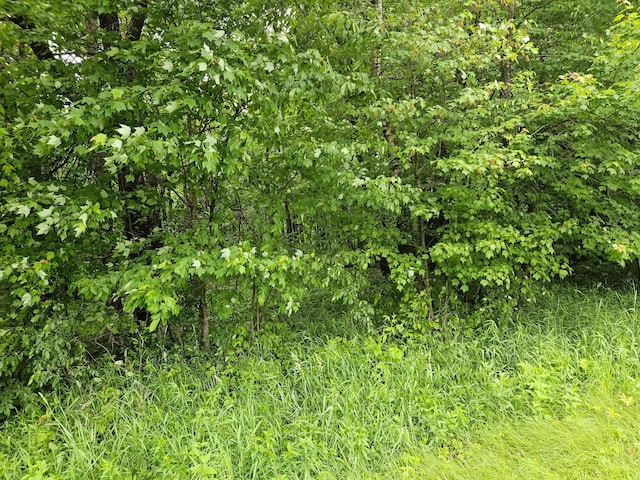 20ACRES 22 1/4 St, Sioux Creek Twp, WI 54728