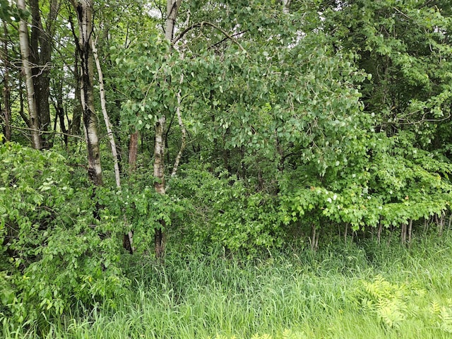 20ACRES 22 1/4 St, Sioux Creek Twp, WI 54728