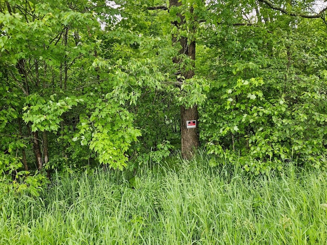 20ACRES 22 1/4 St, Sioux Creek Twp, WI 54728