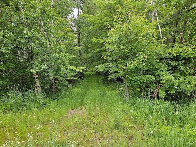 20ACRES 22 1/4 St, Sioux Creek Twp, WI 54728