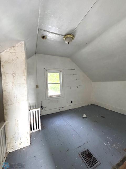 310 1st St SW, Mahnomen, MN 56557 - bonus room with vaulted ceiling
