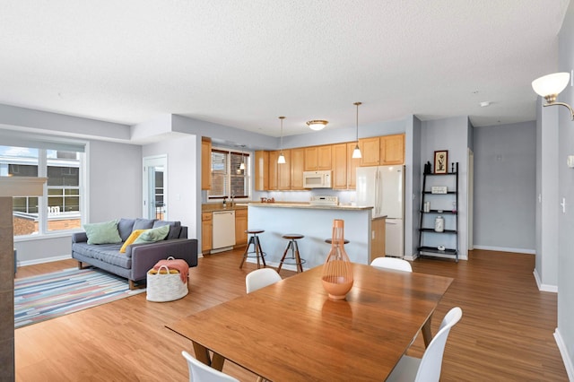 100 4th Ave N Unit 112, South Saint Paul, MN 55075 - photo 6